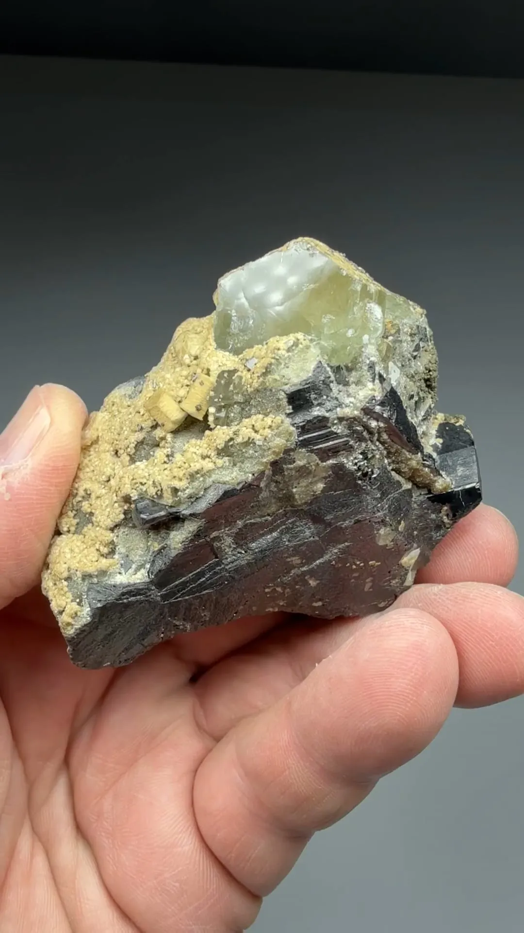 Fluorapatite with Ferberite, Siderite - image 2