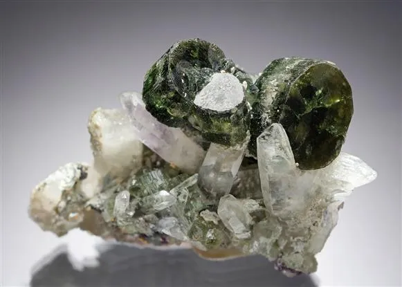 Fluorapatite with Fluorite on Quartz image