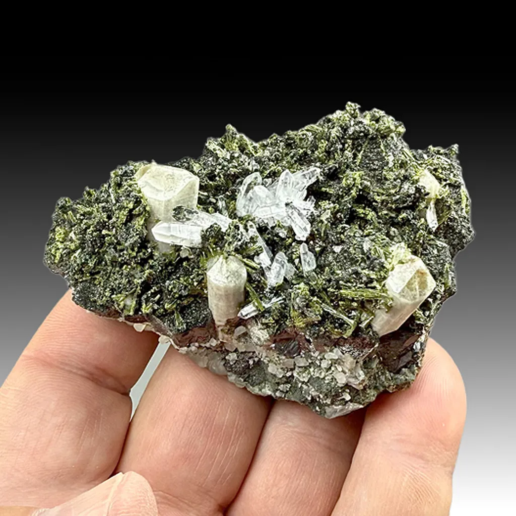Fluorapatite with Magnetite, Chlorite, Epidote, Quartz (1930) image