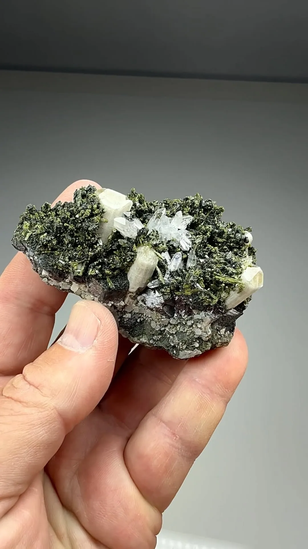 Fluorapatite with Magnetite, Chlorite, Epidote, Quartz (1930) - image 2