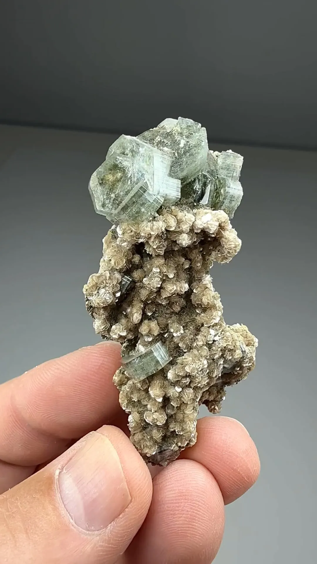 Fluorapatite with Muscovite (1184) - image 2