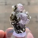 Fluorapatite with Muscovite - image 5