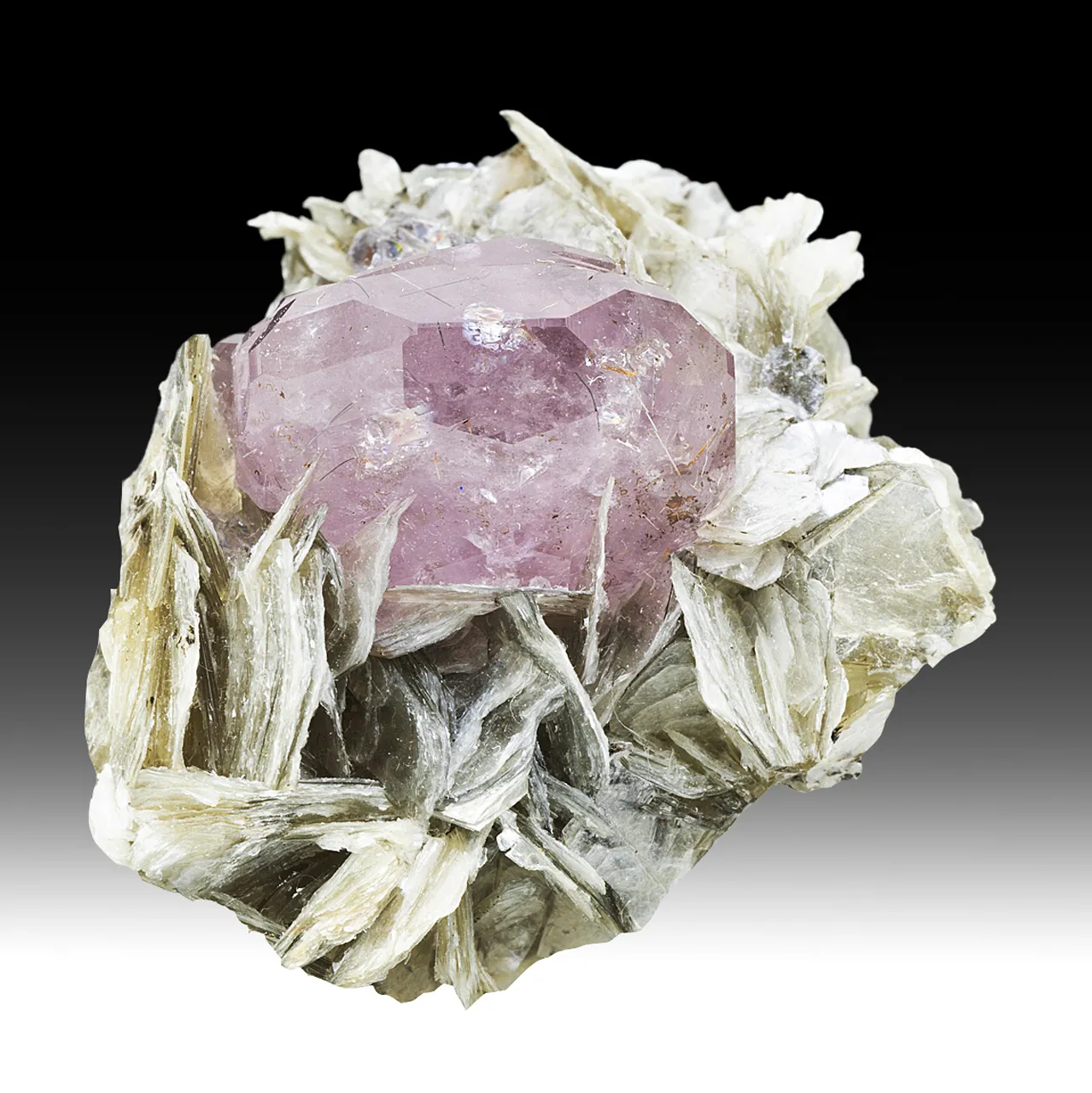 Fluorapatite with Muscovite - image 1