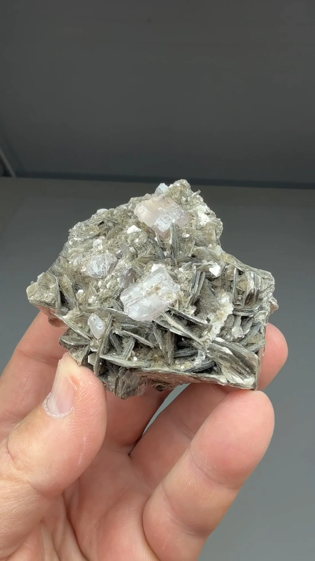 Fluorapatite with Muscovite - image 2