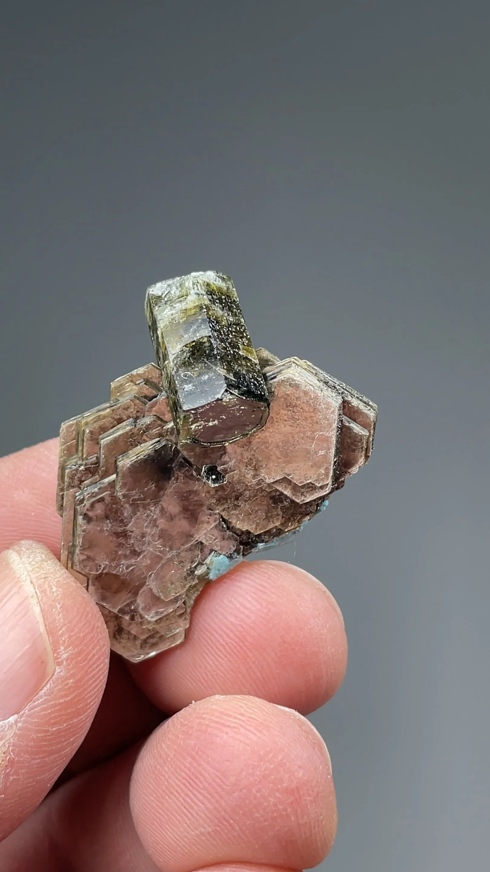 Fluorapatite with Muscovite - image 2