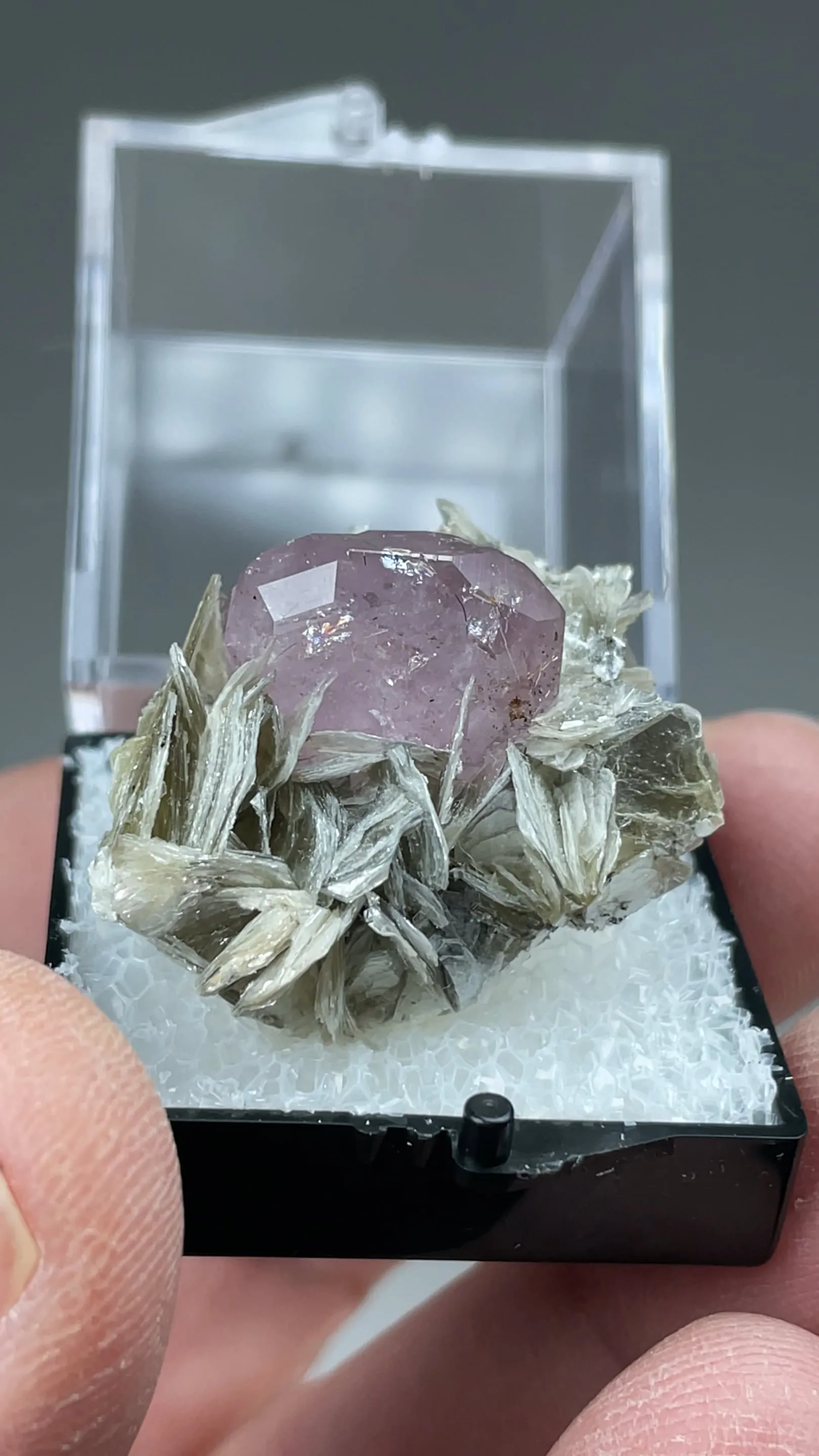 Fluorapatite with Muscovite - image 2