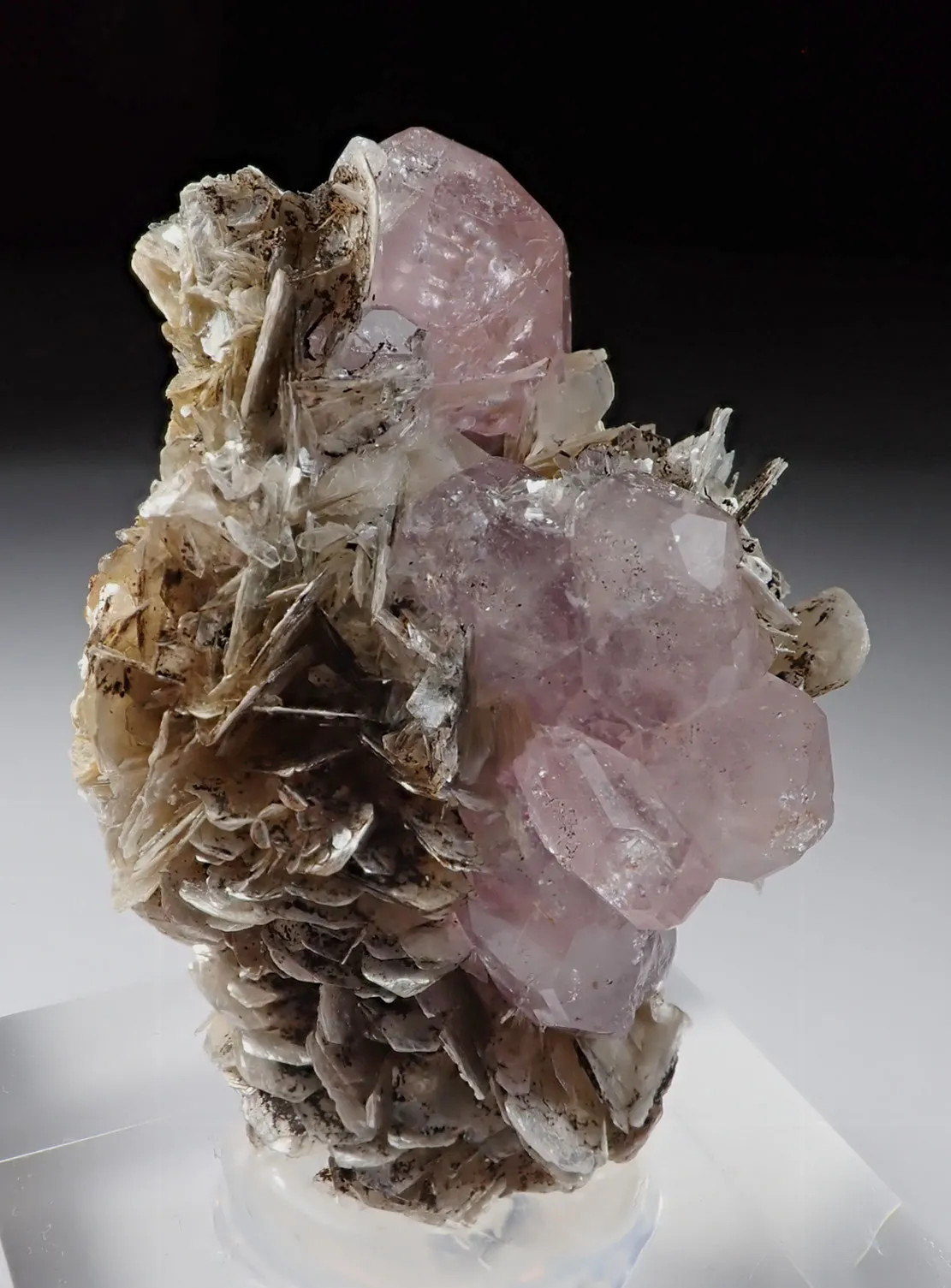 Fluorapatite with Muscovite - image 2