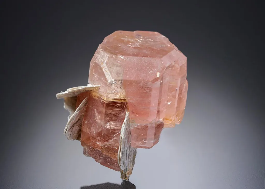 Fluorapatite with Muscovite image