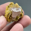 Fluorapatite with Muscovite - image 2