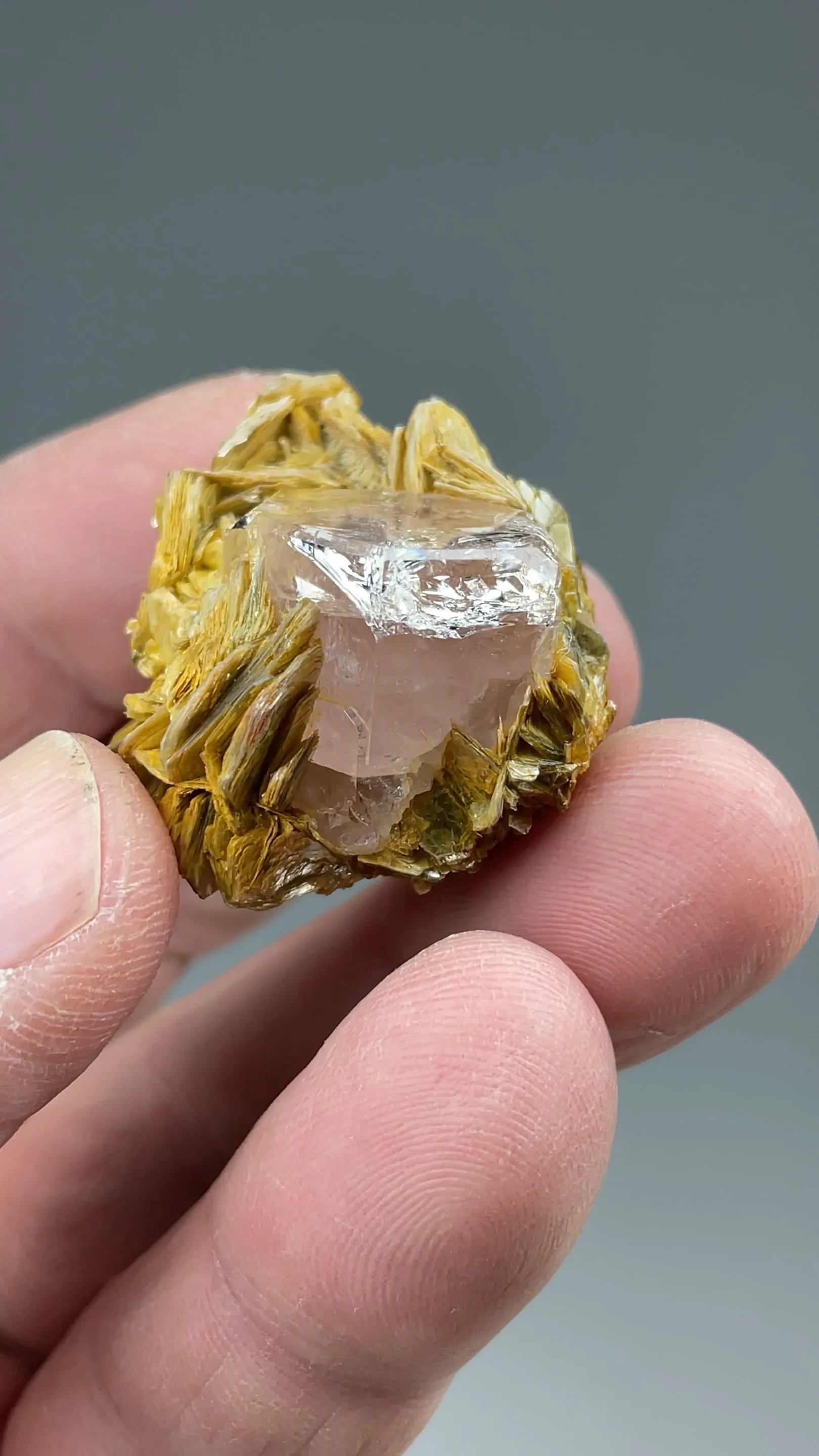 Fluorapatite with Muscovite - image 2