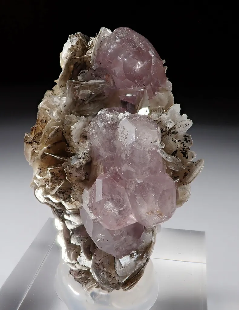 Fluorapatite with Muscovite - image 4