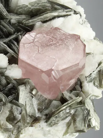 Fluorapatite with Muscovite