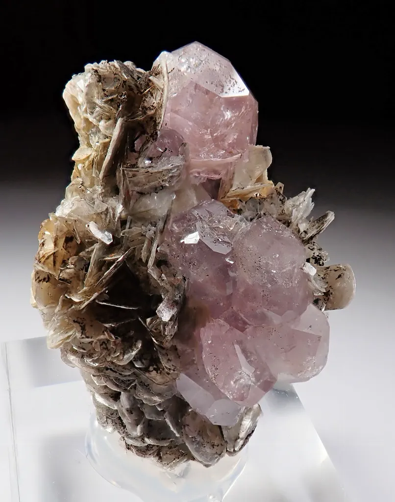 Fluorapatite with Muscovite - image 3