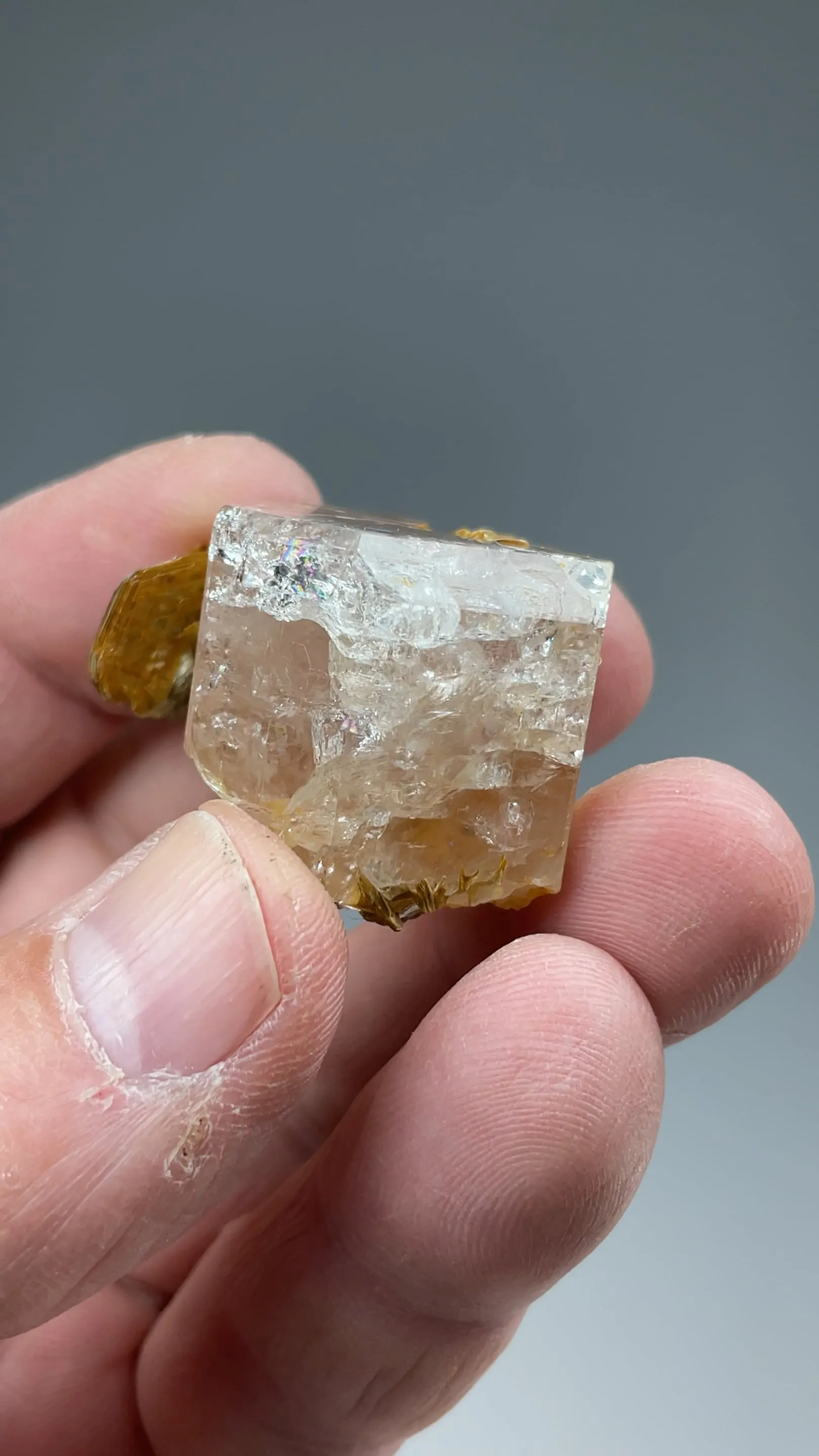 Fluorapatite with Muscovite - image 2