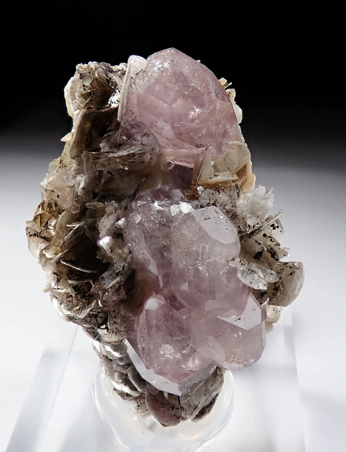 Fluorapatite with Muscovite - image 1