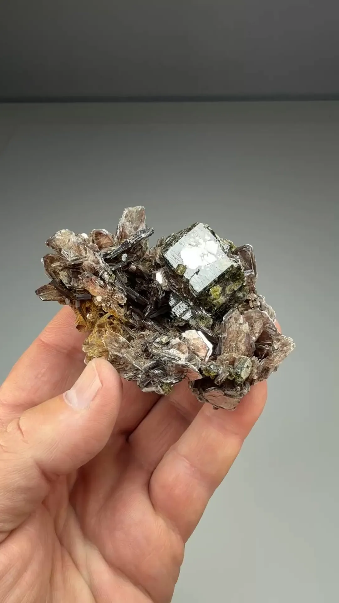 Fluorapatite with Muscovite - image 2