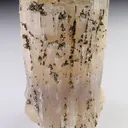 Fluorapatite with Pyrite - image 1