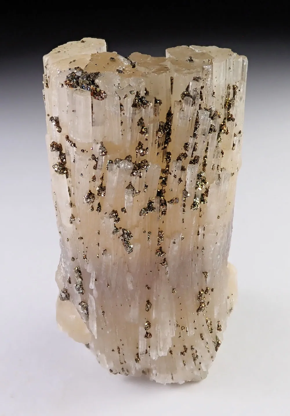 Fluorapatite with Pyrite - image 1