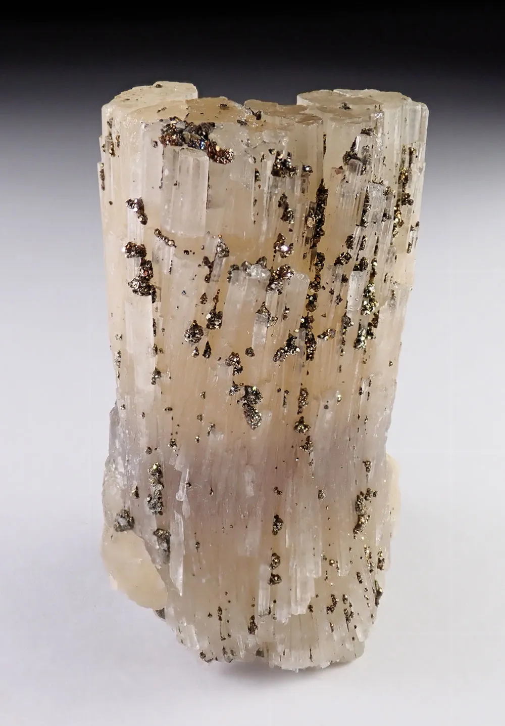 Fluorapatite with Pyrite - image 2