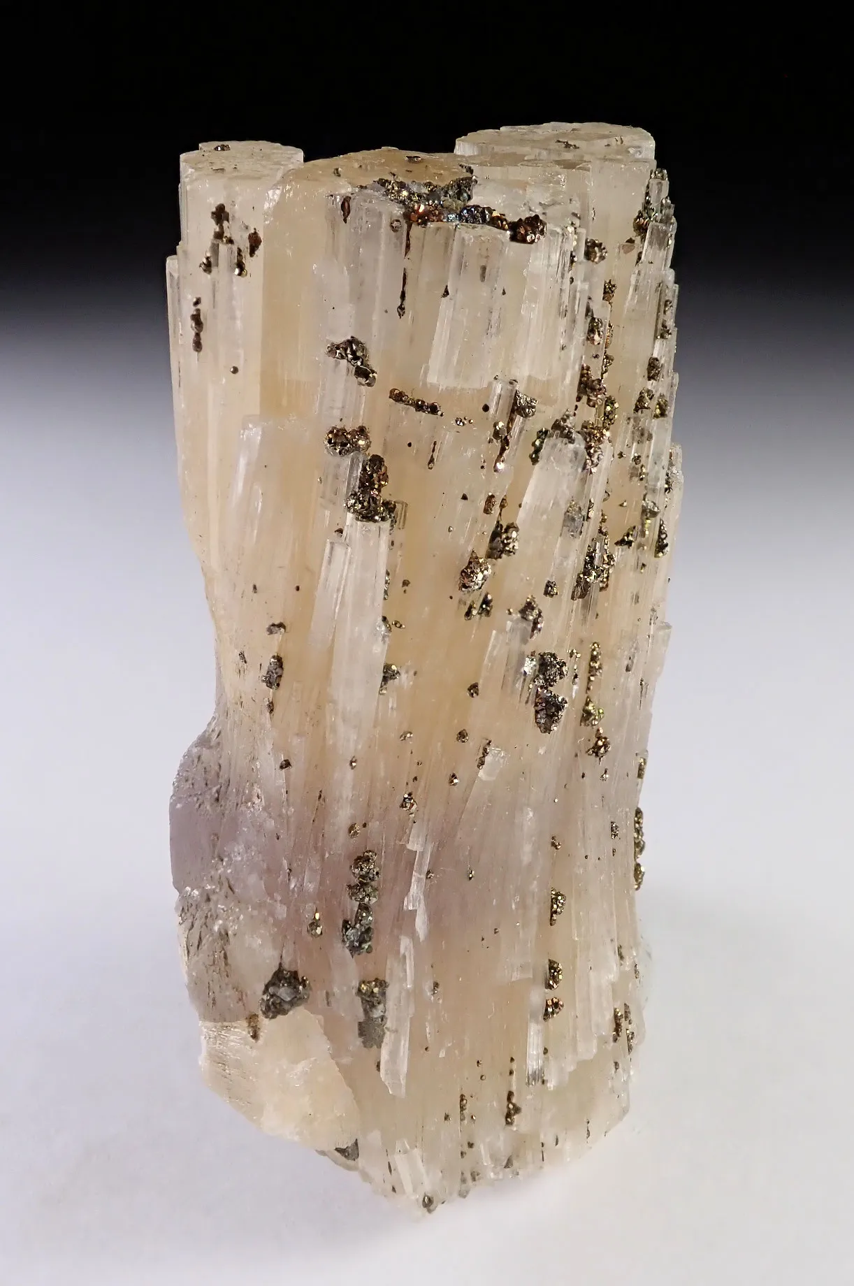 Fluorapatite with Pyrite - image 3