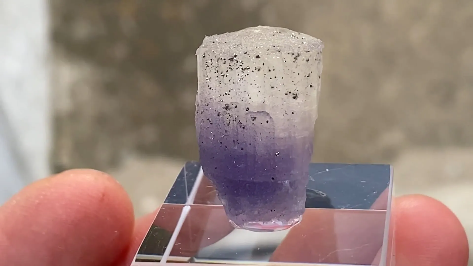 Fluorapatite with Pyrite - image 5