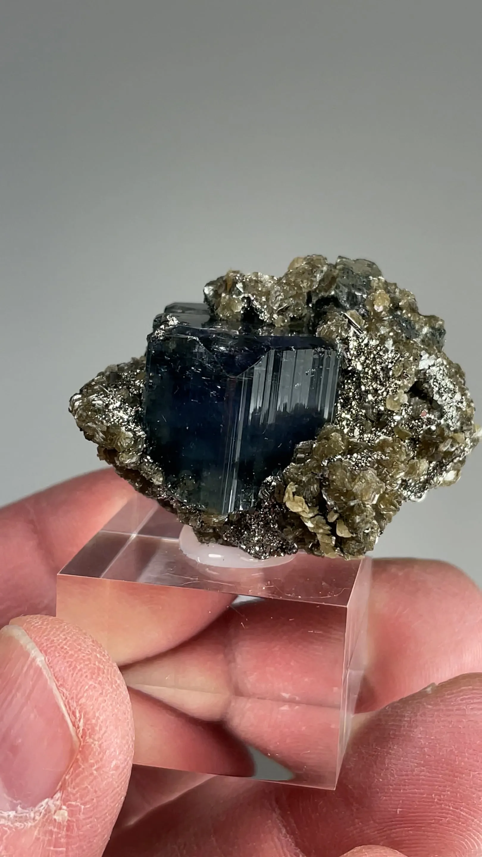 Fluorapatite with Pyrite, Siderite, Muscovite - image 2