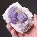 Fluorapatite with Quartz - image 2