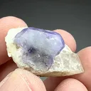 Fluorapatite with Quartz (2774) - image 2