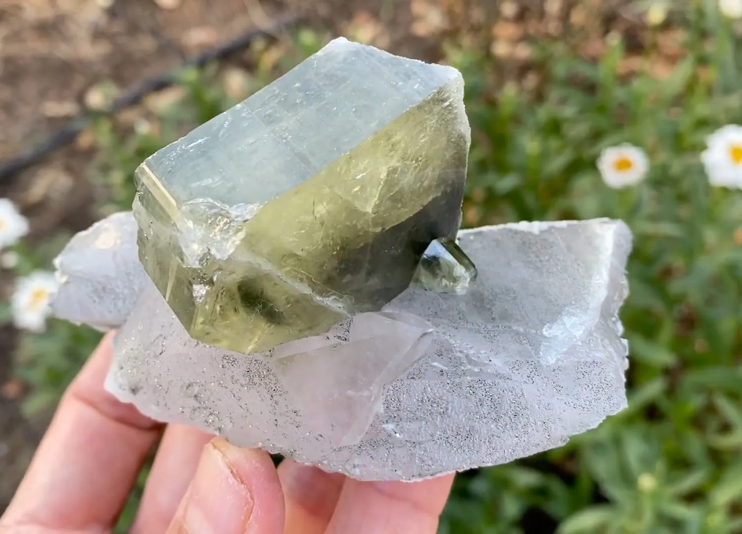 Fluorapatite with Quartz - image 5