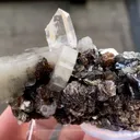 Fluorapatite with Quartz and Arsenopyrite - image 5