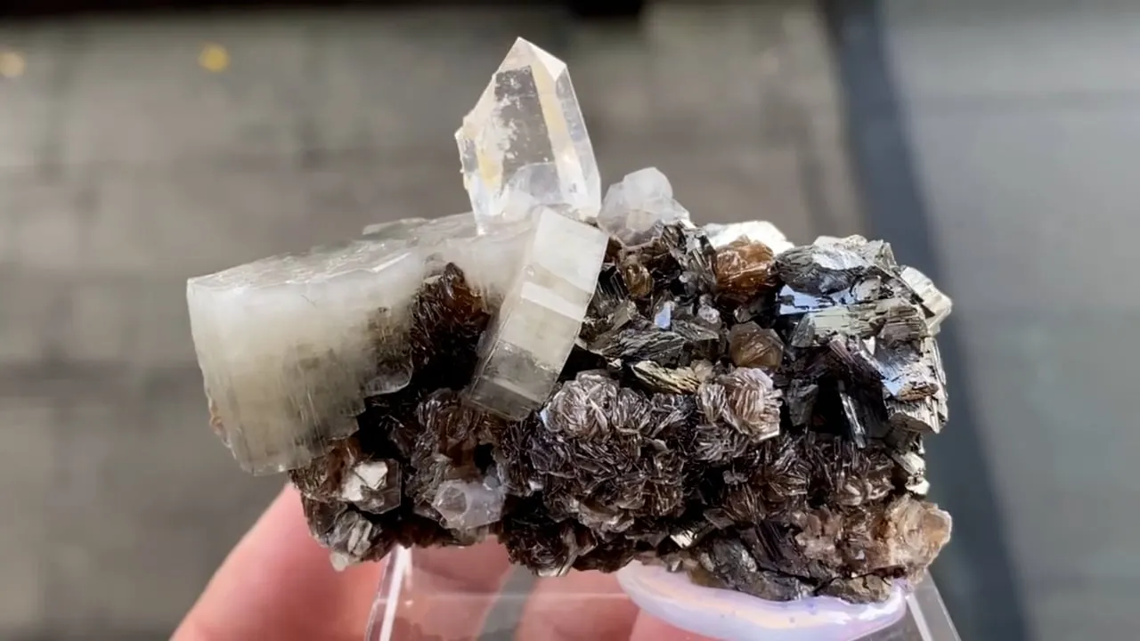 Fluorapatite with Quartz and Arsenopyrite - image 5