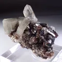 Fluorapatite with Quartz and Arsenopyrite - image 2