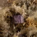 Fluorapatite with Quartz and COOKEITE - image 2
