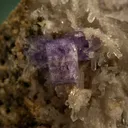 Fluorapatite with Quartz and COOKEITE - image 3