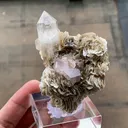 Fluorapatite with Quartz and Muscovite - image 5