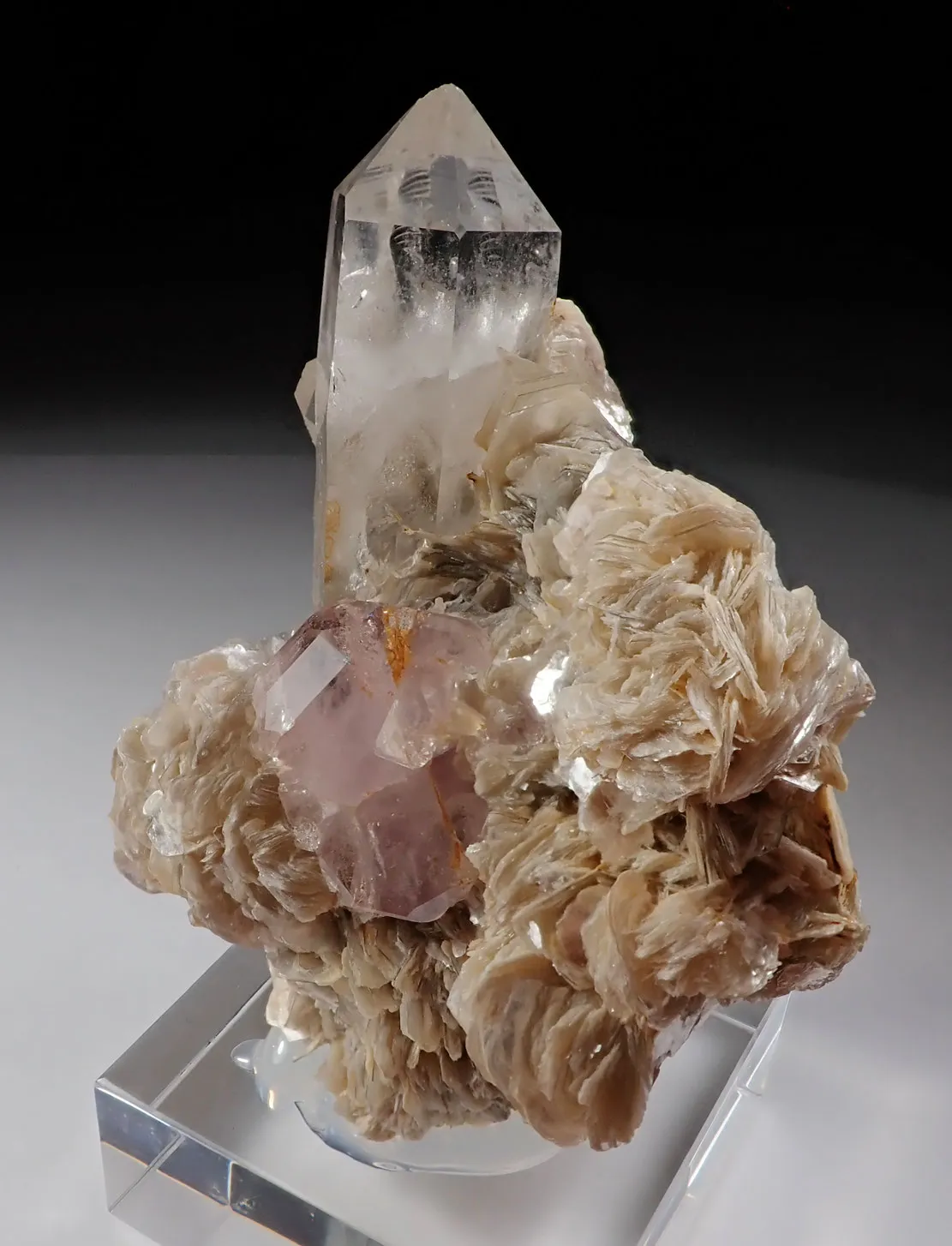 Fluorapatite with Quartz and Muscovite - image 4