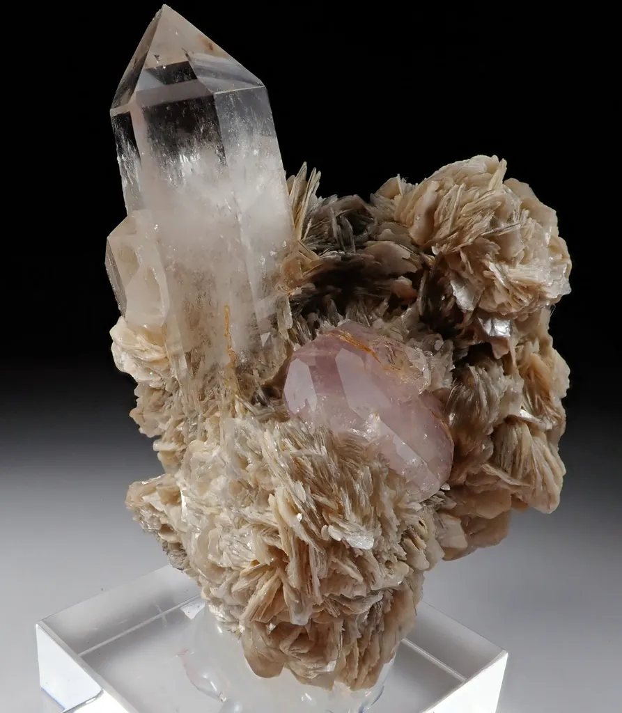 Fluorapatite with Quartz and Muscovite image
