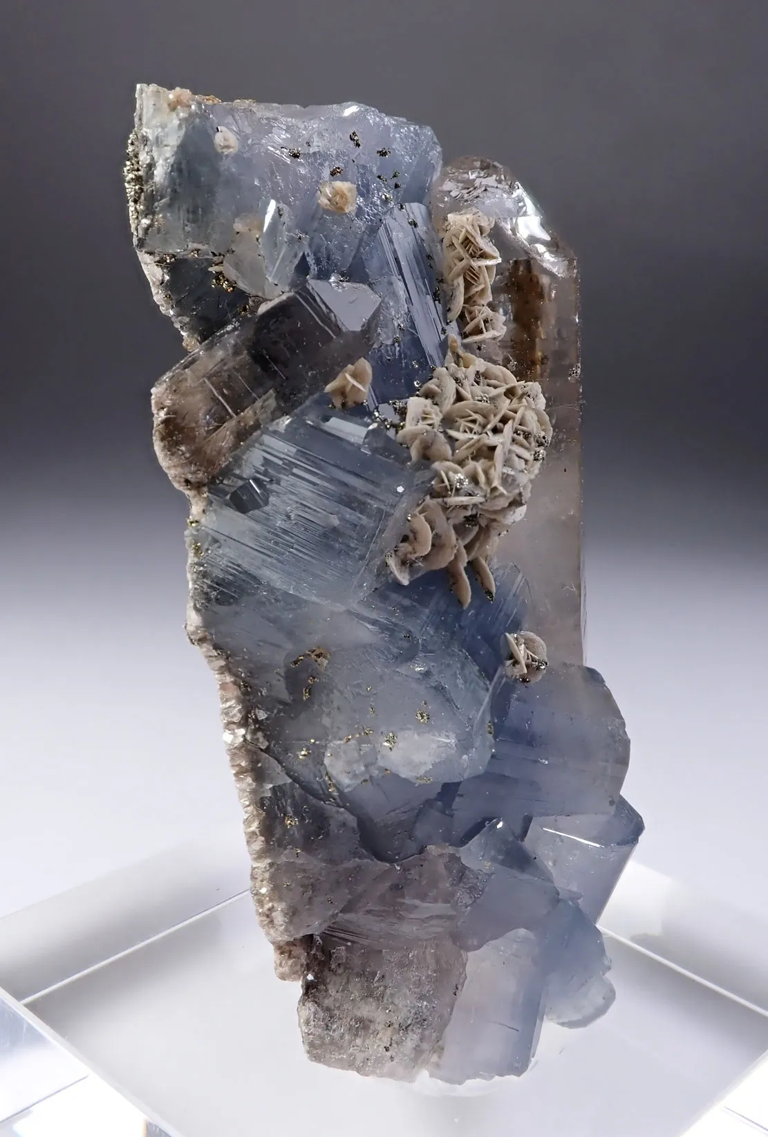 Fluorapatite with Quartz and Siderite - image 4