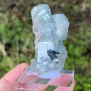 Fluorapatite with Quartz - image 5