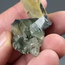 Fluorapatite with Quartz, Siderite, Pyrite, Muscovite - image 2