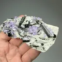 Fluorapatite with Schorl, Albite - image 2