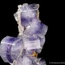 Fluorapatite with Siderite - image 4