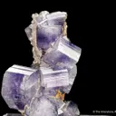Fluorapatite with Siderite - image 2