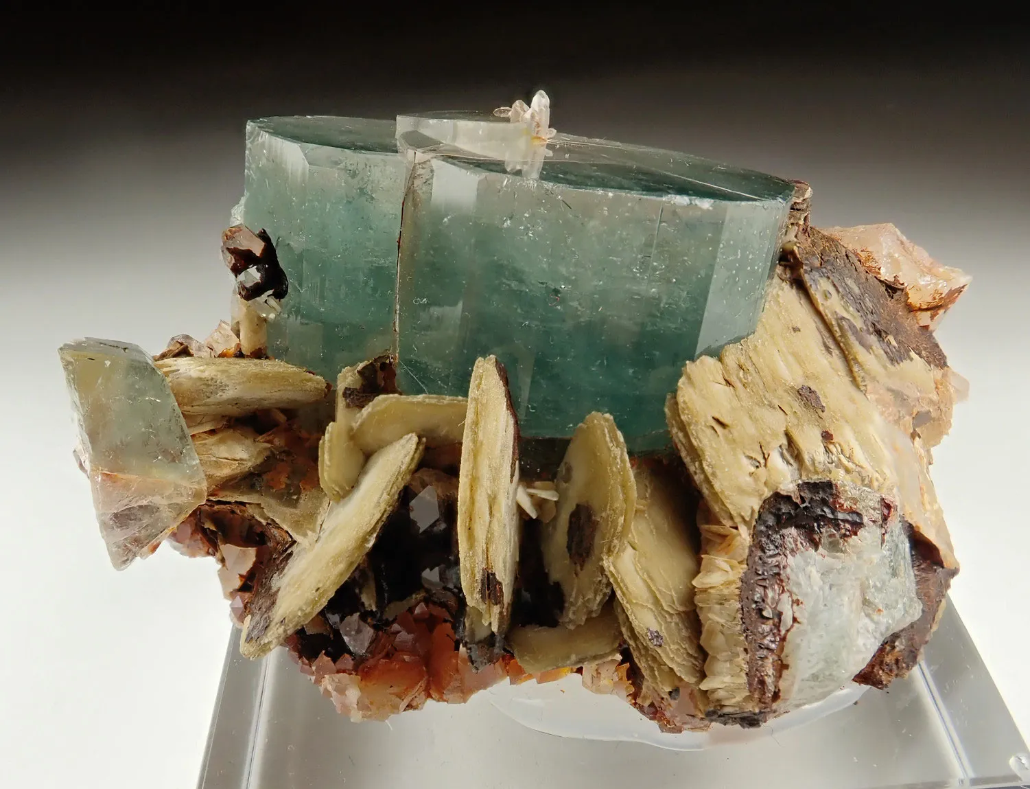 Fluorapatite with Siderite - image 1