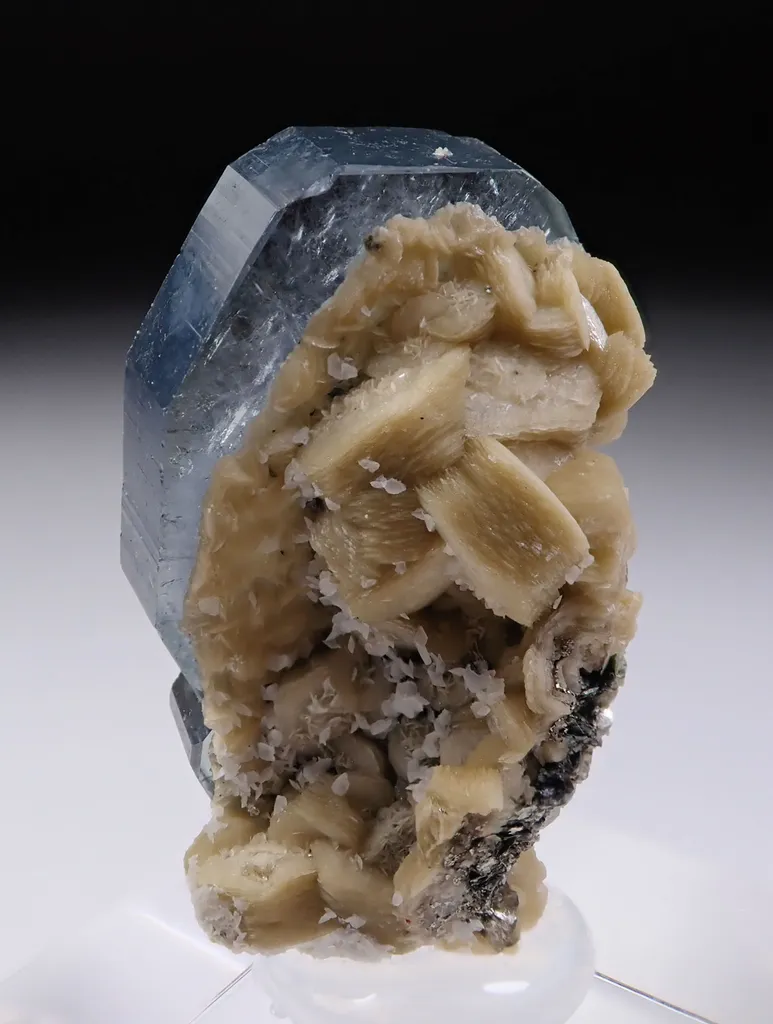 Fluorapatite with Siderite image