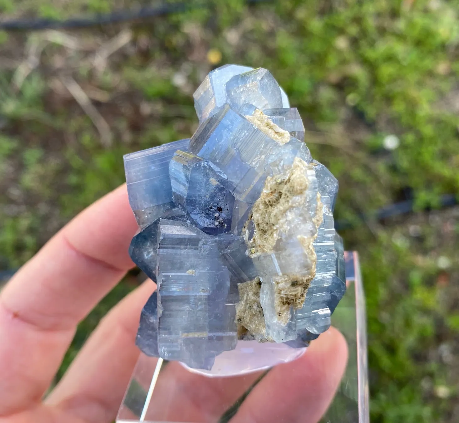 Fluorapatite with Siderite - image 5