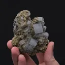Fluorapatite with Siderite Muscovite, Arsenopyrite and Quartz - image 2