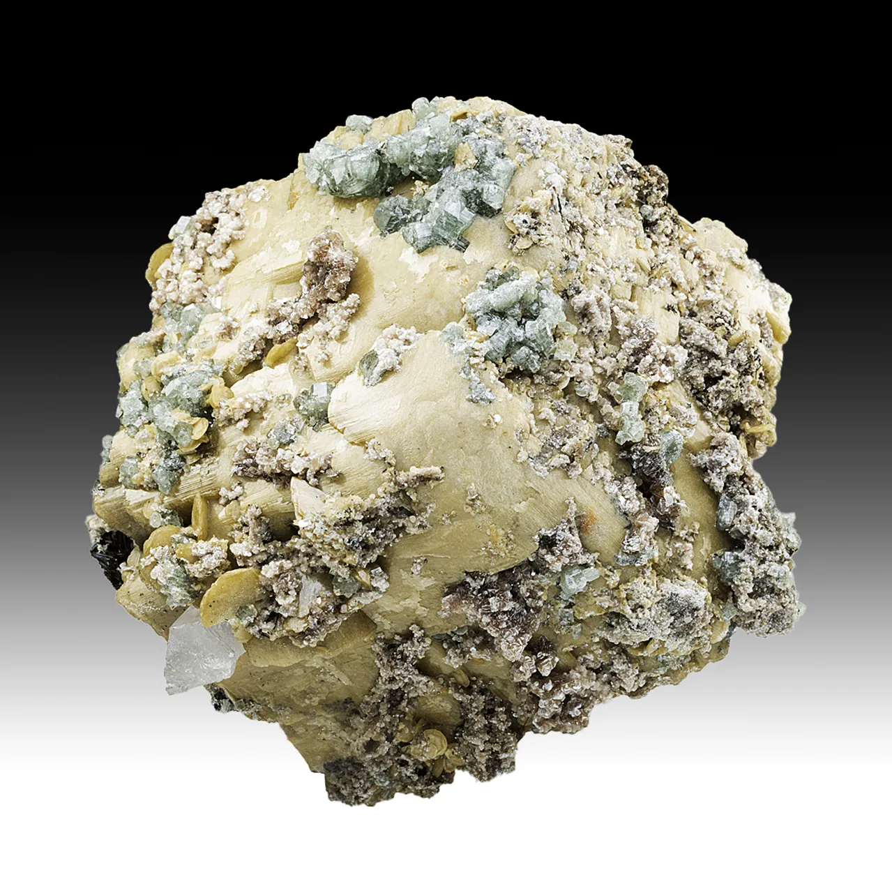 Fluorapatite with Siderite, Quartz (1997) - image 1