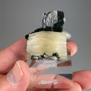 Fluorapatite with Topaz, Ferberite, Pyrite, Muscovite - image 2