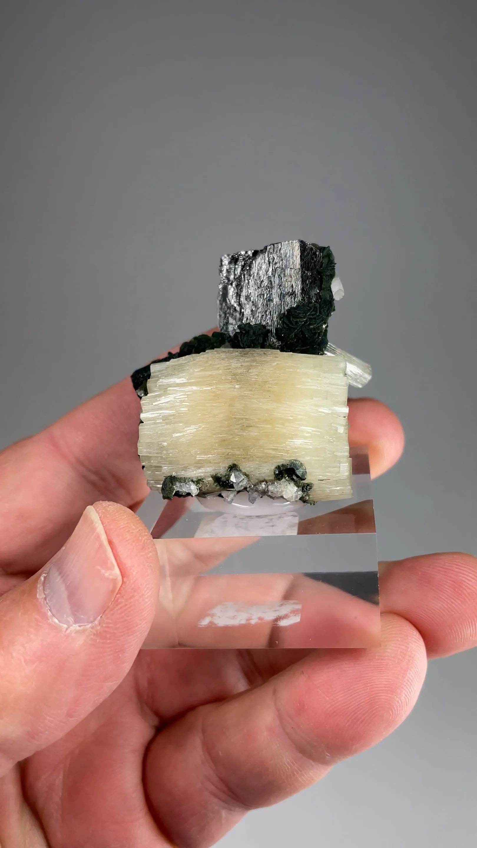 Fluorapatite with Topaz, Ferberite, Pyrite, Muscovite - image 2